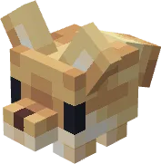 Brain rot Fennecou Grandzoreilles